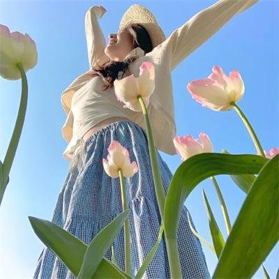 人生若只如初见